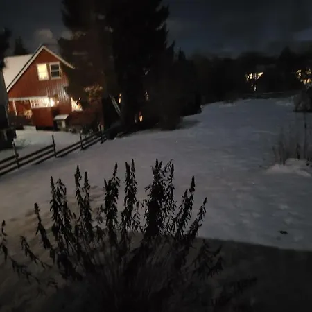 Lägenhet Fargerik Retro Enebolig,parkering Pa Stedet!